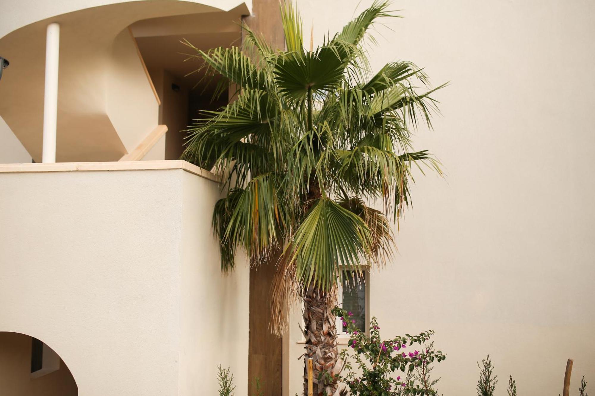 Apartmán Modern Flat With Montgo View Denia Exteriér fotografie